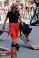 d180616-150007-790-100-polizeipraesidium-muc-tag_der_offenen_tuer-rettungshundestaffel