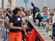 d180616-150215-900-100-polizeipraesidium-muc-tag_der_offenen_tuer-rettungshundestaffel