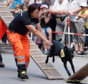 d180616-150216-790-100-polizeipraesidium-muc-tag_der_offenen_tuer-rettungshundestaffel
