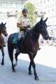 d180616-150738-770-100-polizeipraesidium-muc-tag_der_offenen_tuer-polizeireiter