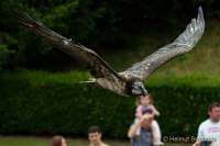 d170716-134523-200-100-warwick_castle