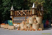 Kürbiswelten auf Schloss Kaltenberg 2026 Kürbiswelten auf Schloss Kaltenberg 2026
