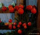 d181201-185743-190-100-schloss_kaltenberg_weihnachtsmarkt