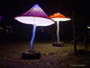 Weihnachtsmarkt auf Schloss Kaltenberg