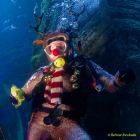 Ein Rentier im Ozean? Das SEA LIFE München feiert Weihnachten!