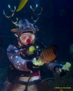 Ein Rentier im Ozean? Das SEA LIFE München feiert Weihnachten!