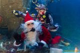 Ein Rentier im Ozean? Das SEA LIFE München feiert Weihnachten!