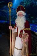 Ein Rentier im Ozean? Das SEA LIFE München feiert Weihnachten!
