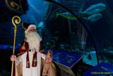 Ein Rentier im Ozean? Das SEA LIFE München feiert Weihnachten!
