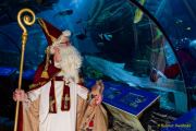 Ein Rentier im Ozean? Das SEA LIFE München feiert Weihnachten!