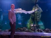 Ein Rentier im Ozean? Das SEA LIFE München feiert Weihnachten!