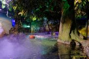 Ein Rentier im Ozean? Das SEA LIFE München feiert Weihnachten! Ein Rentier im Ozean? Das SEA LIFE München feiert Weihnachten!