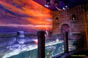 Ein Rentier im Ozean? Das SEA LIFE München feiert Weihnachten! Ein Rentier im Ozean? Das SEA LIFE München feiert Weihnachten!