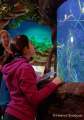 d170110-111552-400-100-sea_life-inventur