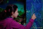 d170110-111621-100-100-sea_life-inventur