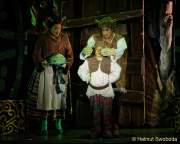 d150205-19420510-100-shrek-das_musical