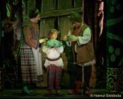d150205-19423180-100-shrek-das_musical