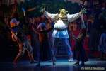 d150205-19460260-100-shrek-das_musical