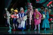 d150205-19483120-100-shrek-das_musical
