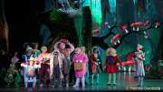 d150205-19485410-100-shrek-das_musical