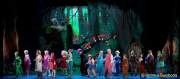 d150205-19515690-100-shrek-das_musical