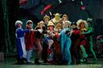 d150205-19551360-100-shrek-das_musical