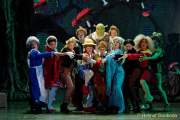 d150205-19551360-100-shrek-das_musical