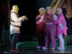 d150205-19555120-100-shrek-das_musical