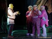 d150205-19555120-100-shrek-das_musical