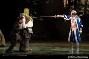 d150205-19582300-100-shrek-das_musical