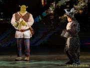 d150205-19591500-100-shrek-das_musical