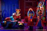 d150205-20121370-100-shrek-das_musical