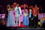 d190202-235348-910-100-soiree_muenchner_leben-narrhalla-garde