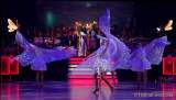 d200201-225724-050-100-soiree_muenchner_leben-narrhalla-garde