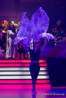 d200201-230046-300-100-soiree_muenchner_leben-narrhalla-garde