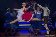 Großer Narrhalla Ball 2026 - Soirée Muenchner Leben - Narrhalla Show