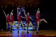 Großer Narrhalla Ball 2026 - Soirée Muenchner Leben - Narrhalla Show