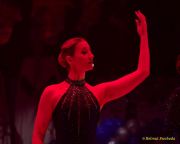 Großer Narrhalla Ball 2026 - Soirée Muenchner Leben - Narrhalla Show