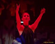 Großer Narrhalla Ball 2026 - Soirée Muenchner Leben - Narrhalla Show