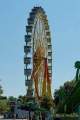 d200728-131136-100-100-sommer_in_der_stadt