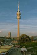 ommer in der Stadt 2021 - Olympiapark
