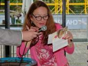 Sommer in der Stadt 2021 - Rueckblick und Schlussbericht