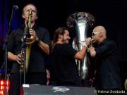 d140726-17511974-100-sommernachtstraum-haindling