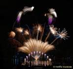 d150725-22363030-100-sommernachtstraum-feuerwerk