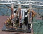 d160721-11584400-100-sommernachtstraum-pk d160721-11584400-100-sommernachtstraum-pk
