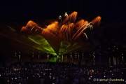 d180707-222159-160-200-sommernachtstraum-feuerwerk