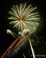 d180206-184640-460-100-sommernachtstraum-pt d180206-184640-460-100-sommernachtstraum-pt
