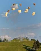 d180707-200137-180-r00-sommernachtstraum-tagesfeuerwerk