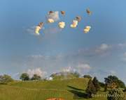 d180707-200138-140-r00-sommernachtstraum-tagesfeuerwerk