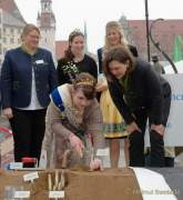 d190410-105536-700-100-spargelanstich d190410-105536-700-100-spargelanstich